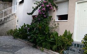 Apartment Beautiful Holiday
